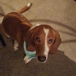 Meet your Posher, Erin